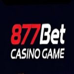 Discover the World of 877Bet Casino Game: Guide to Real Fun and Big Wins in 2026