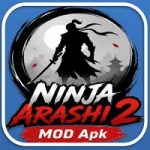 Epic Ninja Adventures: Unlock the Full Power in Ninja Arashi 2 MOD APK